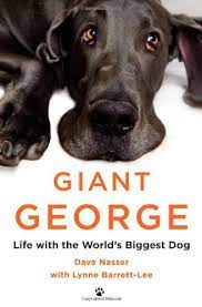 It's now my phone background. Giant George Life With The World S Biggest Dog Amazon De Nasser Dave Barrett Lee Lynne Fremdsprachige Bucher