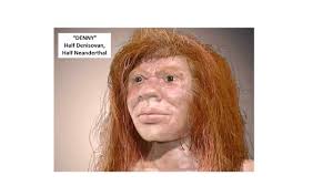 Denisovan DNA found in Chinese cave sediments