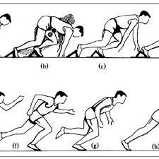 In this stage, the goal is not to continue accelerating, but to minimize deceleration. The Three Phases Of The 100m Sprint Download Scientific Diagram