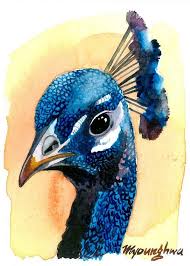 Weitere ideen zu pfau malen, pfau, vögel kunst. Die 42 Besten Ideen Zu Pfau Malen Pfau Malen Pfau Pfau Kunst