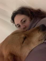 Breed guesses for a 1.5ft, 25lb dog