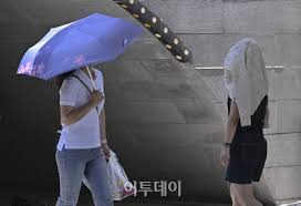 네이트 뉴스 - News update