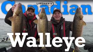 Al lindner and jeremy smith go on the hunt for anything that will bite on a midwestern reservoir. Tivv4smvkcvydm