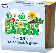 Woolworths shoppers have been warned to stay alert after a discovery garden fan's pot 'spontaneously combusted' and caught 'on fire.' Woolworths Discovery Garden Discover At Woolworths
