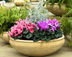 The atmosphere, along with the support of gather co. Pots Container Gardening Squire S Garden Centres