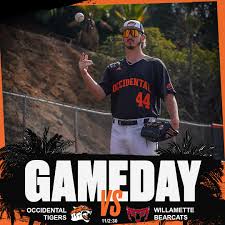 Going for the series W! #onetigermanystripes🐅🧡