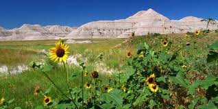 A Basin Landform Consists Of An Area Of Land Usually Like A Smaller Prairie Enclosed By Higher Land Such As Hi Badlands National Parks Badlands National Park