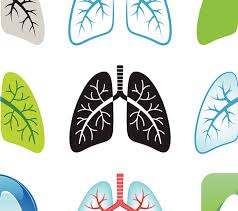 Start by marking straks doet het geen pijn meer as want to read jan 16, 2019 jenthe van rated it really liked it. Copd In De Palliatieve Fase Springerlink