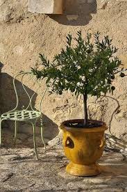 The 2020 Guide To Classic French Garden Pots Planters Urns Olive Jars French Garden Urns French Garden French Garden Planter