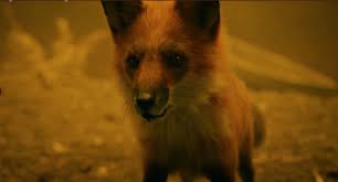 David lowery's the green knight might have been a welcome deconstruction of the monomyth, except his verbose stylization of every single moment stalls any hope of making a human connection. Dev Patel Takes Centre Stage In The Trailer For A24 S The Green Knight