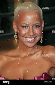 Amber sunset rose hi-res stock photography and images