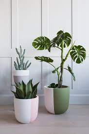 3 Best Inspiring Low Budget Decoration Ideas Plant Pot Diy Plant Pot Design Clay Plant Pots