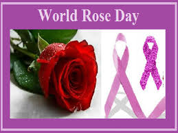 Many people shares rose day quotes and wishes. World Rose Day 2020 History Quotes Messages Wishes Significance And More