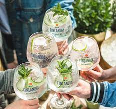 Enter your email address to follow my blog. Finlandia Vodka Wprowadza Nowosc Finlandia Botanical