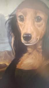 Devon Gorman Plainedge