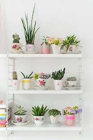 Si estás decidido a recurrir a cactus y suculentas para decorar espacios interiores, estás de suerte porque no requieren de muchos cuidados. 30 Ideas Para Decorar Con Cactus Y Terrarios