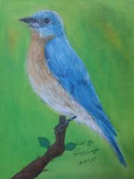 drawing bird رسم طائر ألوان زيتية art drawings drawings artist