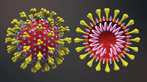 N B Covid 19 Roundup Impact Of Variants Laid Out By Infectious Disease Specialist Cbc News