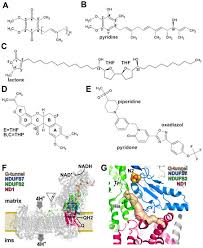 Image result for tbn:InRtqFneI1g0WM::kora.alhnuf.com/attachments/505d1265455719-%D9%83%D8%B1%D9%8A%D9%85-%D8%B2%D9%8A%D8%A7%D9%86%D9%8A-%D8%B5%D9%88%D8%B1