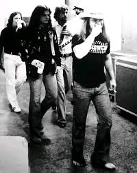 Image result for Dark Coppertone 1977 Fedders