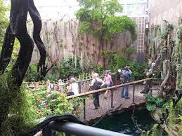 Tiergarten nürnberg posted a video to playlist aktuelles aus dem tiergarten — at tiergarten nürnberg. Manatihaus Aufnahme Von Tiergarten Nurnberg Tripadvisor