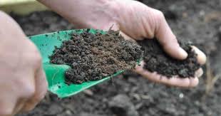 We did not find results for: Organic Soil Amendments Organic Components To Improve Your Soil