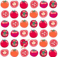 Tomate Tomates Cuisine Dessin Illustrations