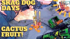 Pick up cactus fruit is an objective in the side quest, skag dog days in borderlands 3. Borderlands 3 Skag Dog Days Those Darn Cactus Fruits The Droughts Pandora Youtube
