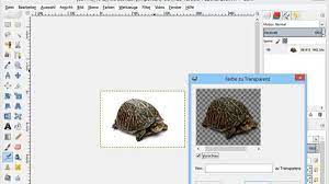 Ziehen sie das gif entweder. Bildbearbeitung Mit Gimp Hintergrund Transparent Machen Multimedia