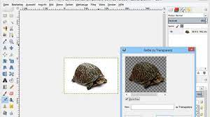 Der entfernte hintergrund lässt sich im nachhinein nicht wiederherstellen, da das png diese bildinformationen. Bildbearbeitung Mit Gimp Hintergrund Transparent Machen Multimedia