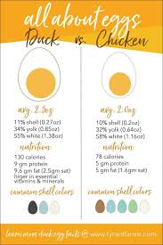 Please Share This Duck Eggs Versus Chicken Eggs Comparison