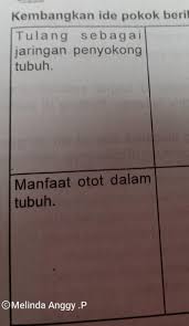 Kembangkan Ide Pokok Berikut Menjadi Paragraf Tulang Sebagai Jaringan Penyokong Tubuh Tolong Di Brainly Co Id