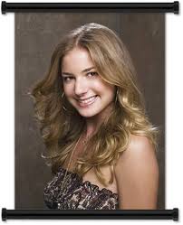 Emily Vancamp Sexy Hot Actress Fabric Wall Scroll Poster (16 X 21) Inches  : Amazon.ca: Home