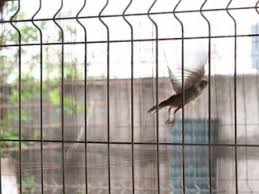 A year ago, on that day, the currency rate romanian leu to euro was: Odai Simaprica Tierschutzverein Europa