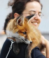 Pin On Life Is Ruff Alright Meow