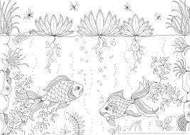 Coloring book pages may also train kids, coaching them through numerous designs and ideas. Free Printable Coloring Page Adult Coloring Fish Tank Fishes Goldfish Garden Coloring Pages Fish Coloring Page Adult Coloring Pages