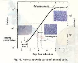 Check spelling or type a new query. Characterization Of Cell Lines