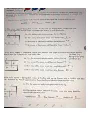 Genetics worksheet answer key as a derivative of big methods solution questions. Image 2 7 19 7 42 Pm Incomplete Dominance Spongebob Loves Growing Flowers For His Pal Sandy Her Favorite Flowers Poofkins Are Found In Red Blue And Course Hero