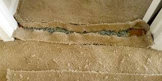 Check spelling or type a new query. Carpet Seam Repair Montgomeryville Gentle Clean Carpet Care