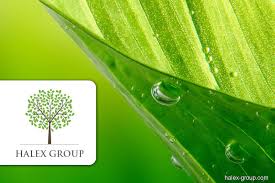 It was first established on january 09, 1985. Halex Acquires Hextar Chemicals For Rm597m The Edge Markets