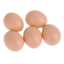 5pcs Set Chicken Layer Coop Cage For Chicken Duck Geese Hatch Incubation Breeding Hen Poultry Plastic Fake Dummy E Bird Supplies Chicken Jokes Backyard Poultry