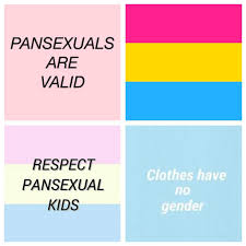 Explore the clothing of your culture. Pansexual And Bisexual Aesthetic Lgbt Amino