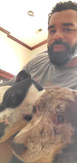 Any tips for struggling with the bishop in Lies Of P?