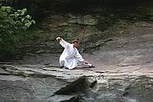 Chen tai chi (taijiquan) fight free spar. Taijiquan Wikipedia