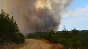 Jul 29, 2021 · a massive forest fire in southern turkey destroyed at least one village on wednesday (july 28), as homes at four neighborhoods were evacuated. Forest Fire Erupts In Northwestern Turkey