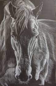 Dessin cheval Crayon blanc sur fond noir | Dessin noir et blanc, Dessin  cheval, Crayon blanc
