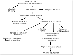 Pathophysiology Of Mitral Stenosis Download Scientific