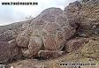 Image result for ‫اسرار نظامی دفینه گنجهای گمشده ایران‬‎