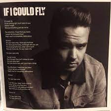 Liam If I Could Fly Lyrics Photos From The Made In The A M Deluxe Edition Booklet Fly Lyrics One Direction Lyrics One Direction Albums