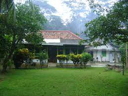 35 gambar rumah idaman sederhana di desa yang. Halaman Rumah Kampung Pagar Rumah